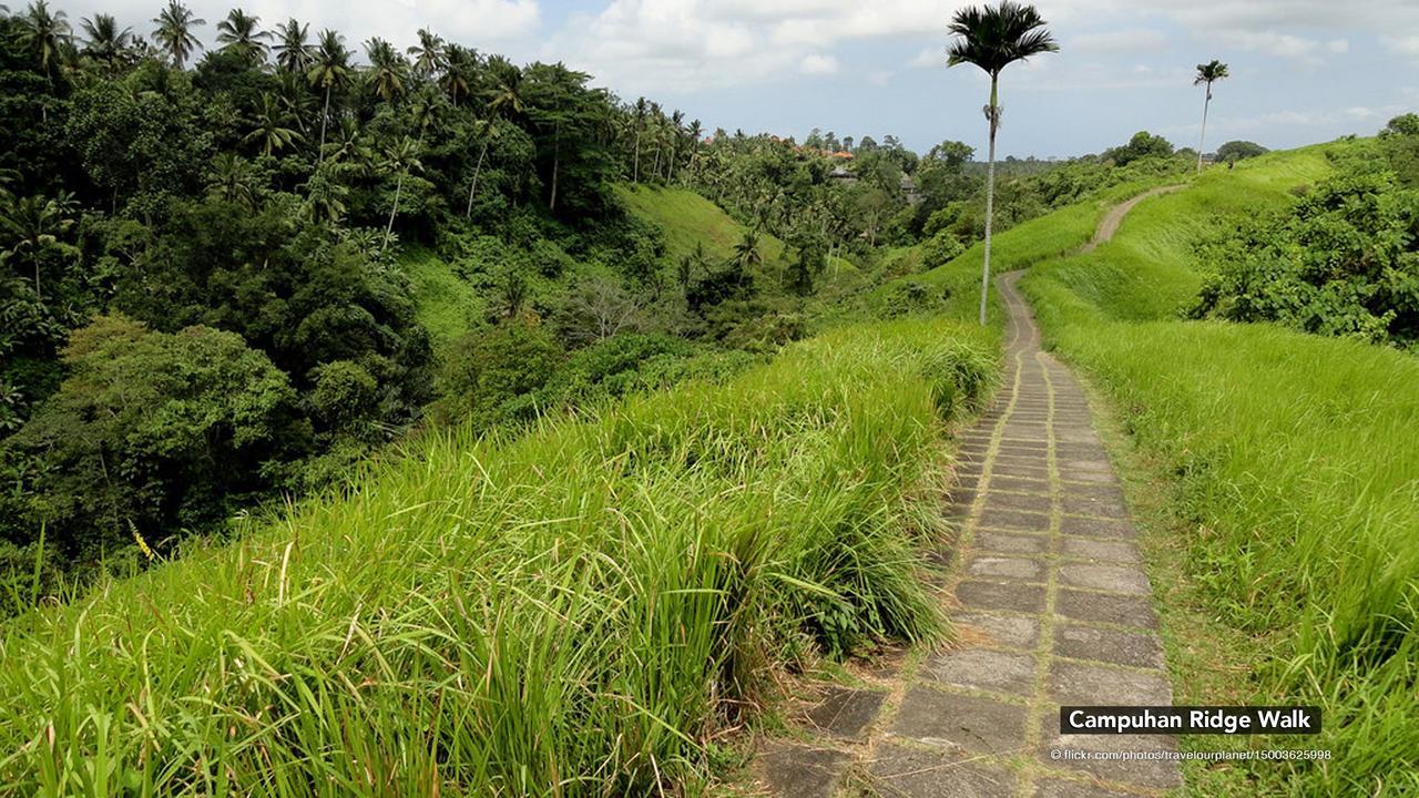 Zen Premium Nyuh Bojog Ubud Εξωτερικό φωτογραφία
